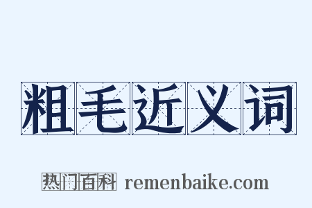 粗毛近义词是什么意思的图片